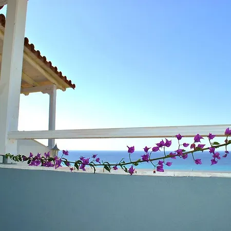 Dias モラ・カリヴァ