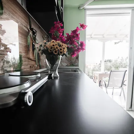 Dias モラ・カリヴァ